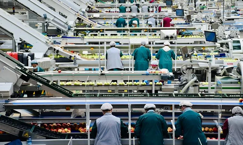 Workers on a food processing line